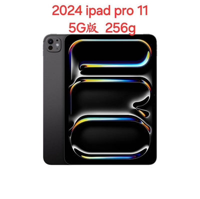 5G版 2024 Apple iPad Pro 11吋 256G
