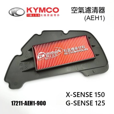 YC騎士生活_KYMCO光陽原廠 空濾 G SENSE 125、X SENSE 150 空氣濾清器 空氣濾芯 AEH1