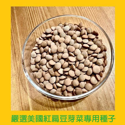 台灣PIH嚴選-紅扁豆芽菜專用種子 150ml-防潮袋-美國-種子花苗