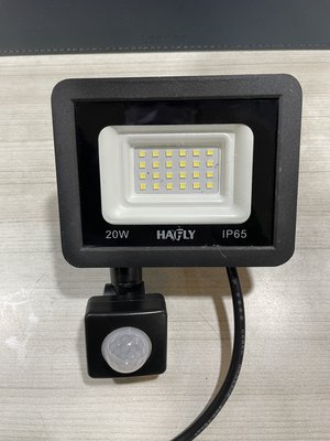 DIY水電材料 LED-20W紅外線感應戶外投射燈/自動感應人到自動亮 廣角照明輕巧迷你*防雷擊