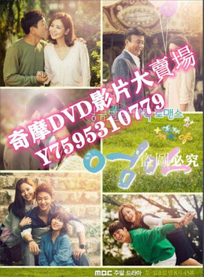 DVD專賣店 韓劇 監視者 DVD 韓石圭/金賢珠 高清盒裝4碟