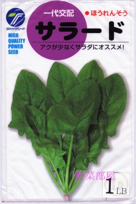 【野菜部屋~大包裝】A21 日本味美菠菜種子1磅原包裝 , 抗病性佳, 可當生菜沙拉食材 , 每包470元~
