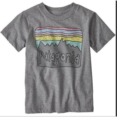 【熱賣精選】 American Bata Patagonia Organic Cotton T-shirt Outd
