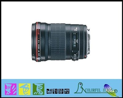 彩色鳥 (租鏡頭 EOS R5) 租 Canon EF 135mm f2 L USM 戶外人像鏡 R6 5D4