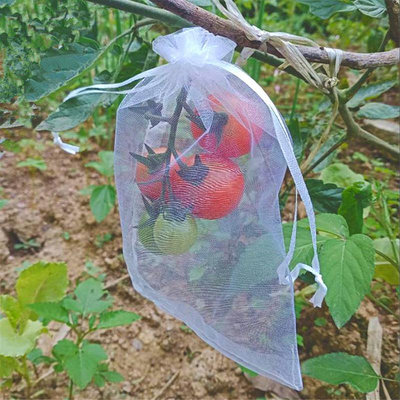 溜溜水果套袋果實網袋透氣番茄番石榴藍葡萄無花果草莓防蟲防鳥保護袋
