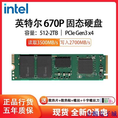 溜溜雜貨檔【 保固 低價】Intel/英特爾 670P 512G 1TB M.2 2280 PCIE NVME 固態硬碟筆記