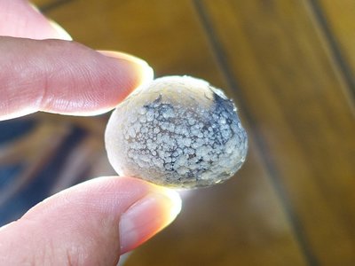 §能量礦石§ 亞利桑那隕石Saffordite Arizona天狼星隕石 重21.24g