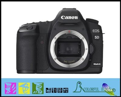 彩色鳥 (相機出租 鏡頭出租) Canon 5D Mark II (5D2)+Canon EF 24-70mm f2.8L USM II canon 24-70