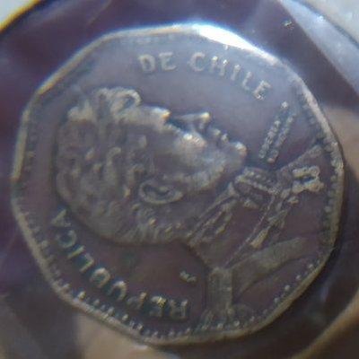 Chile（智利） 50 pesos 硬幣 1988年