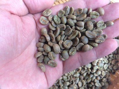 台灣咖啡 北大武山  已脫殼 咖啡生豆 - 2公斤下單區