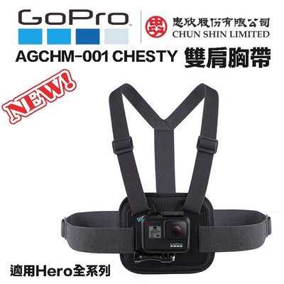 【eYe攝影】現貨 原廠 GOPRO HERO 10 9 8  AGCHM-001 CHESTY 胸前固定座 雙肩胸帶