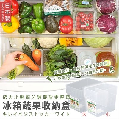 【依依的家】日本製 INOMATA 冰箱蔬果收納盒 (大)