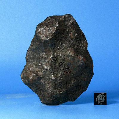 【二手】【杰克礦長】天然保真博物館級納米比亞Gibeon鎳鐵隕石G鐵【古玩天下】1034