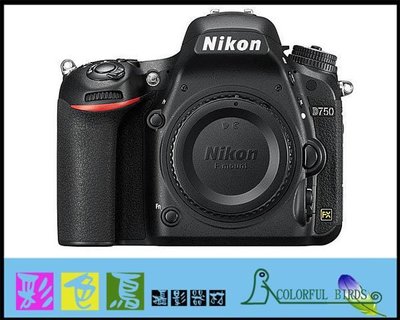 彩色鳥(租相機 相機出租 鏡頭出租 租鏡頭) 租 Nikon D750 出租 Nikon 24-70mm f2.8