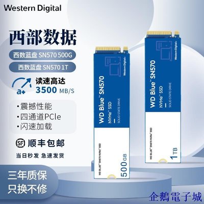 溜溜雜貨檔WD/西部數據 固態SN570/770/850黑盤M2固態硬碟250G/500G/1Tb藍盤