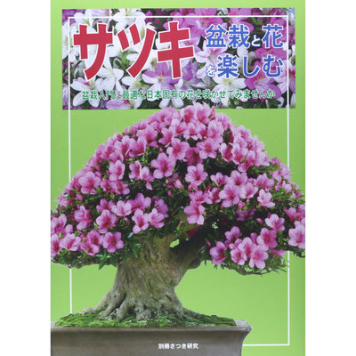 サツキ―盆栽と花を楽しむ 皋月杜鵑專業知識書籍 日本小月盆景盆栽修剪種植圖書日文