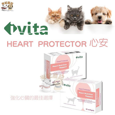 免運+贈 ivita Protector 心安 Q10 牛磺酸 心臟保健 心血管護理 心臟保養 原廠公司貨