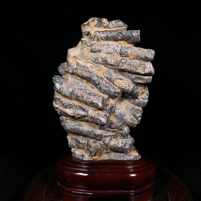 泡沫珊瑚化石 天然原石帶座高35×19×7厘米 重5.2公斤編號35036739【萬寶樓】古玩 收藏 古董