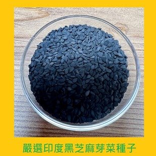 台灣PIH嚴選-黑芝麻芽菜專用種子150ml-防潮袋-種子花苗