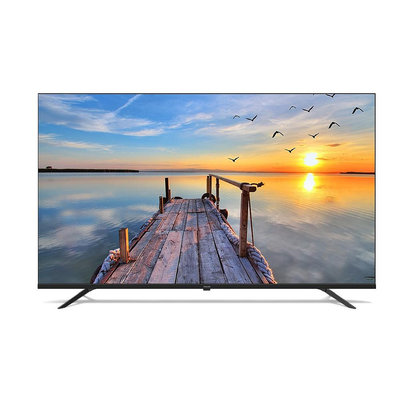 Philips 飛利浦 65型4K Google TV 智慧顯示器 65PUH7159 另有特價 65P737 65C645 65C745 65C755