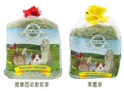 【🐱🐶培菓寵物48H出貨🐰🐹】OXBOW《提摩西牧草/果園草》新鮮牧草-40oz 特價539元(自取不打折)