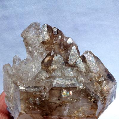 鱷魚骨幹水晶05–157.5公克。教堂水晶。茶黃晶。珍藏水晶