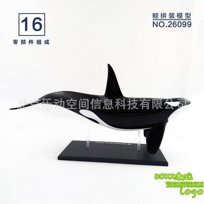 BOxx潮玩~4DMASTER 鯨魚解剖拼裝模型 動物模型教具教學模型 26099