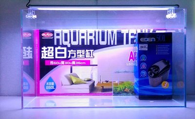 *海葵達人*~台灣製造超白玻璃組合套缸組2尺魚缸+LED跨燈+Eden-501迷你圓桶過濾器