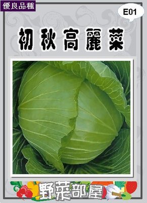 【野菜部屋~】E01 日本初秋高麗菜種子0.55公克 , 梨山高麗菜 , 每包15元~