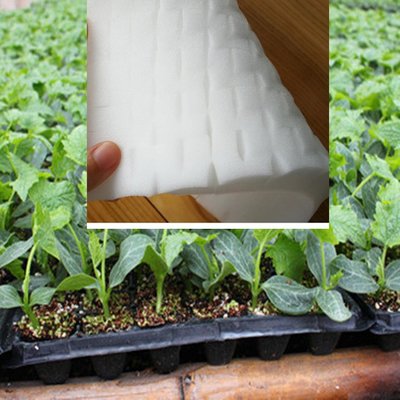 菜多多水耕種植棉(96塊/片)播種育苗專用海綿,無土栽培