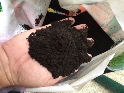 培養土。砂質土。 零賣。一份5吋盆25元