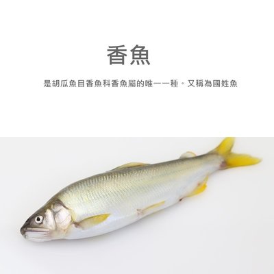 【魚仔海鮮】香魚(6尾-8尾) 920g 香魚 台灣香魚 公香魚   香魚甘露煮 燒烤 海鮮 冷凍