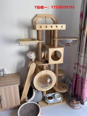 貓爬架私人訂制全實木貓爬架貓窩貓樹一體墻壁式太空艙貓跳臺貓別墅貓架
