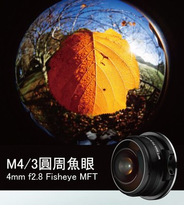 【華揚數位】☆全新 LAOWA 老蛙 4mm F2.8 Fisheye MFT 圓周魚眼 公司貨