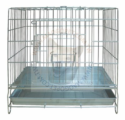 2台尺 固定式不鏽鋼狗籠 不銹鋼室內籠 貓籠 2尺 白鐵線籠（DK-0604）每件2,000元
