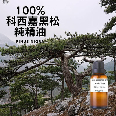 100% 科西嘉黑松純精油Laricio Pine-Pure Essential Oil-30ml