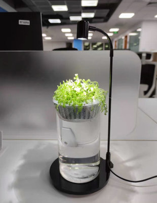 時尚 玻璃容器 綠植栽 美植栽 水培植物 水耕 療育 水耕盆栽 配件組 魚菜共生 附USB LED植物燈  整組整套