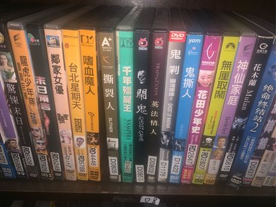 【席滿客二手書】正版DVD-華語【花木蘭》-趙薇、胡軍、陳坤