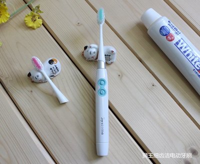 日本進口獅王Lion細齒潔電動牙刷/替換刷頭聲波振動軟毛成人/兒童