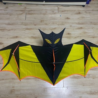 現貨熱銷-2022年新款立體蝙蝠風箏老鷹微風易飛大型高檔成人兒童~特價