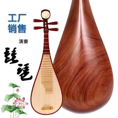 現貨熱銷-琵琶樂器成人初學硬木琵琶專業演奏紅花梨木琵琶 枇杷民族樂器