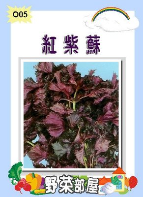 【野菜部屋~】O05日本紅紫蘇種子0.65公克 , 氣味溫和 , 每包15元~