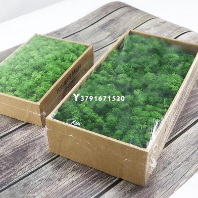 永生花苔蘚花材盒裝500g家居裝飾200苔蘚墻diy材料優質永生珊瑚草