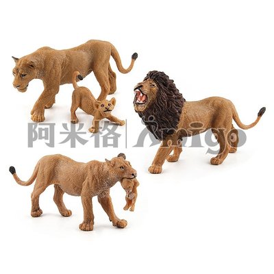 阿米格Amigo│一套3款 獅子 Lion 仿真動物模型 科教 教學 公仔 擺設 玩具 兒童 幼兒 禮物