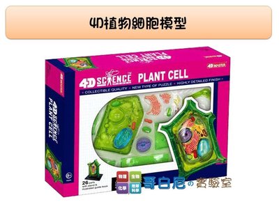 哥白尼的實驗室/生物/4D植物細胞模型/細胞核 粒線體 細胞壁 高基氏體 內質網/正版Fame Master/科學玩具