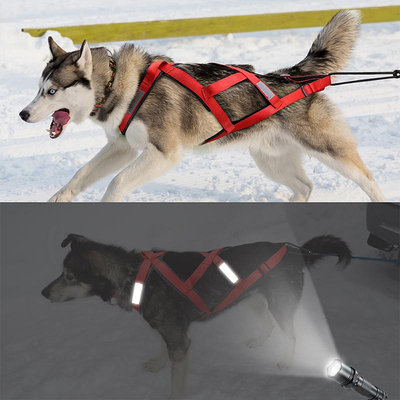 跑步遛狗繩胸背帶大型犬背心式阿拉斯加雪橇犬牽引繩狗拉車狗拖車