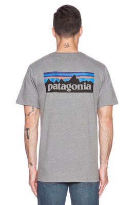 慧眼Z │ PATAGONIA P-6 LOGO TEE 有機棉 短袖 短T恤 灰色 特色面 完售色 尺寸M 經典款