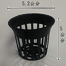 水草盆 團購與ptt推薦 年10月 飛比價格