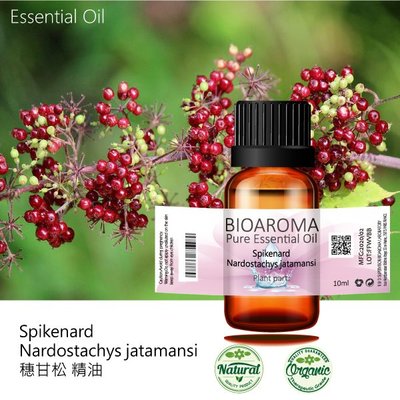 【芳香療網】Spikenard - Nardostachys jatamansi 穗甘松精油 100ml