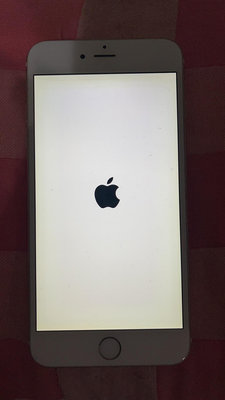 iPhone 6 Plus 16G【保30天】